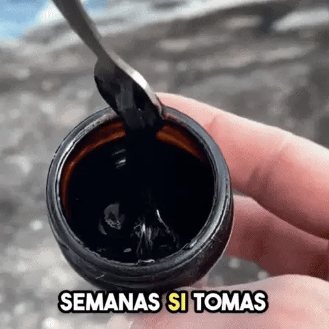 SHILAJIT energia del Himalaya en su forma más pura